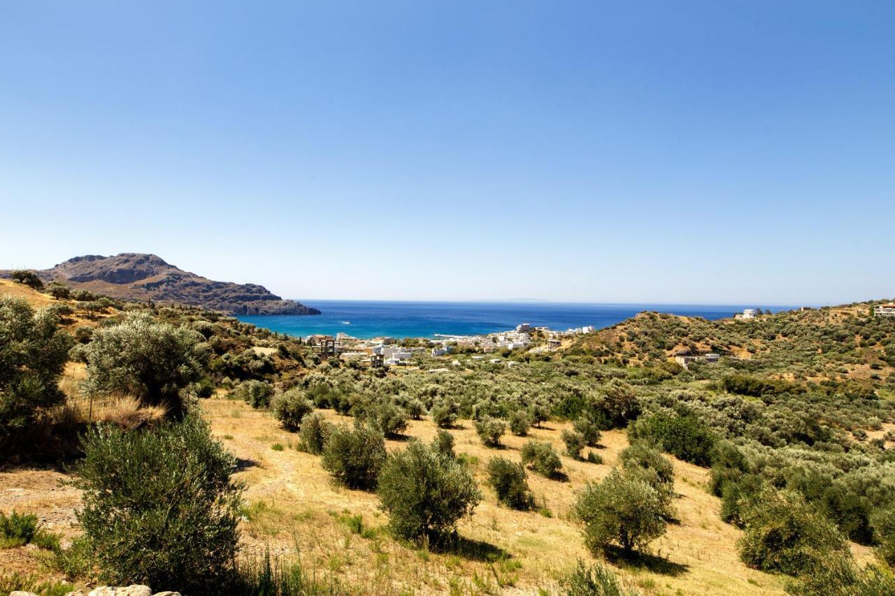 Almond Cottage With A Sea View Above Плакиас Экстерьер фото